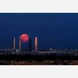 ژل لیفت ابرو و مژه شیگلم مدل دوکاره با ماندگاری بالا