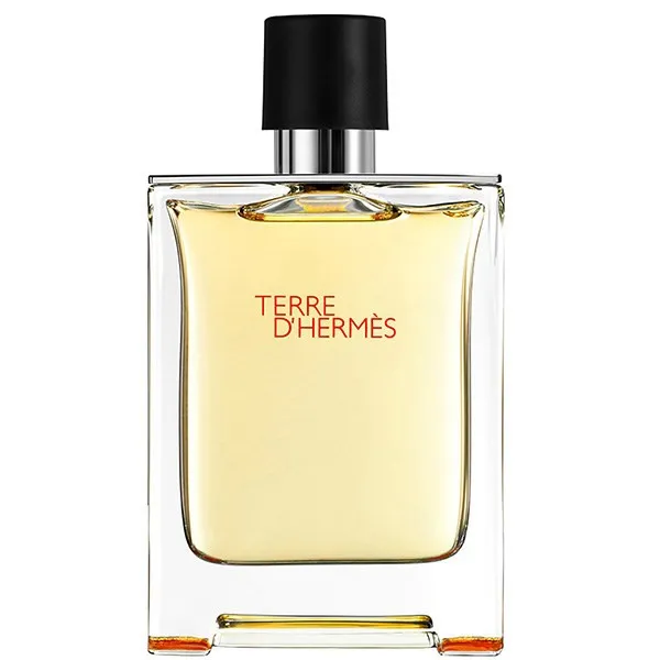 ادو تویلت مردانه هرمس مدل Terre D'Hermes حجم 200 میلی لیتر