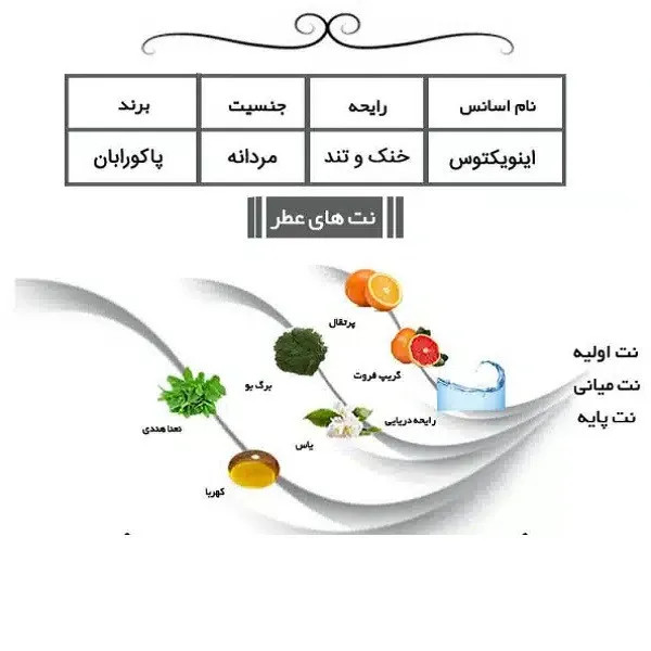 ادوپرفیوم مردانه پاکو رابان مدل اینوکتوس حجم 100 میلیلیتر