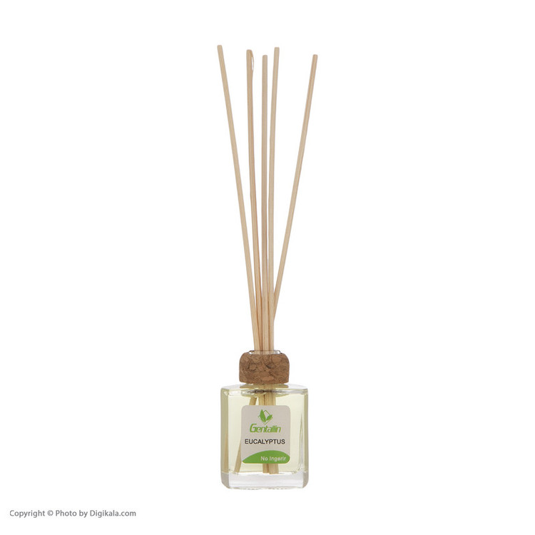 خوشبوکننده هوا جنتالین مدل Eucalyptus حجم 15 میلی لیتر