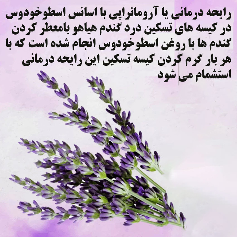 کیسه تسکین درد هیاهو مدل آروماتراپی اسانس اسطوخودوس کد Wheat-25x25-4