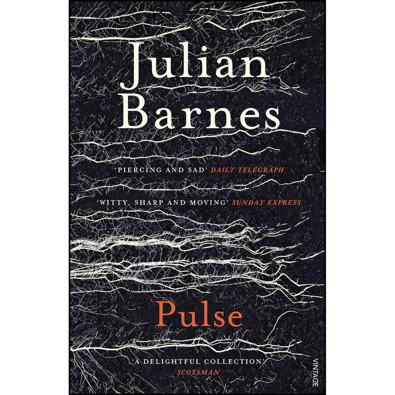 کتاب Pulse اثر Julian Barnes انتشارات Vintage Books