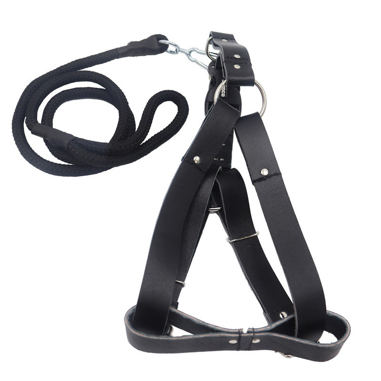 قلاده کمری به همراه لید سامکو مدل YP3-LIDDAR135CM