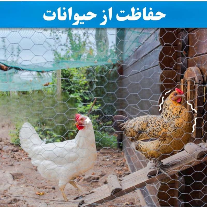 توری مرغی مدل فرنگی H180 طول 20 متر