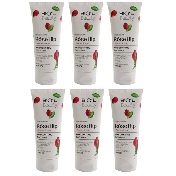 کرم مرطوب کننده بیول مدل Rose Hip حجم 60 میلی لیتر مجموعه 6 عددی