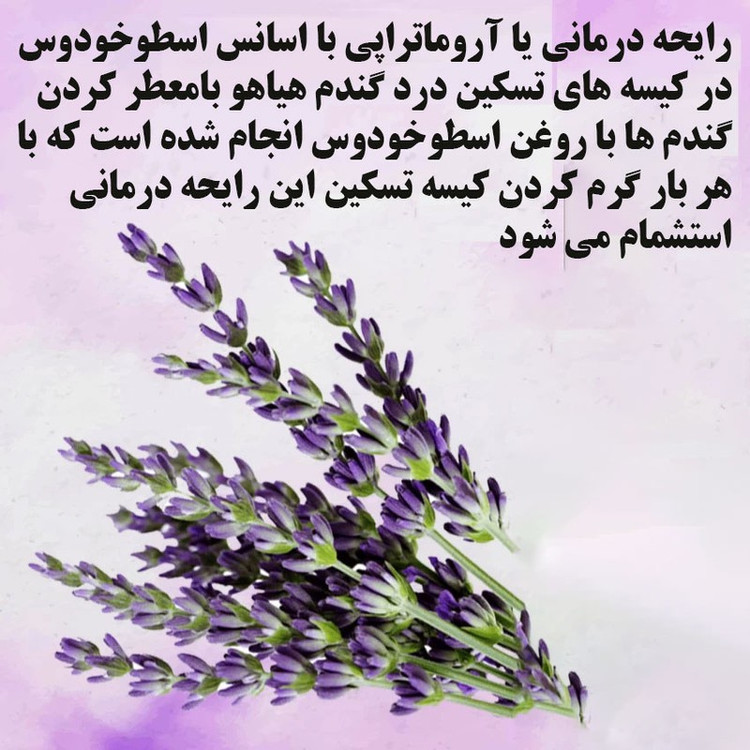 کیسه تسکین درد هیاهو مدل آروماتراپی اسانس اسطوخودوس کد Wheat-45x45-6