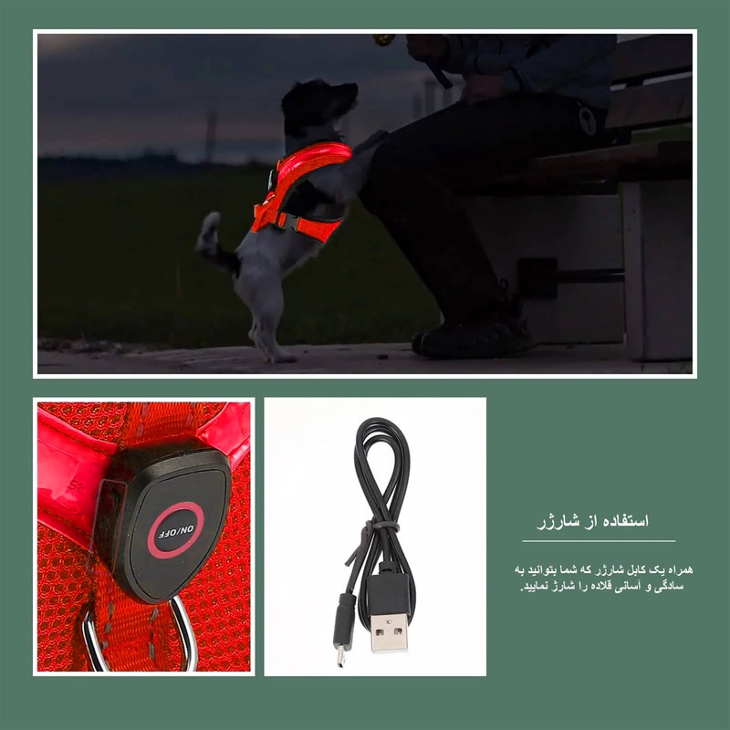 قلاده طرح چراغدار مدل FH01 RD