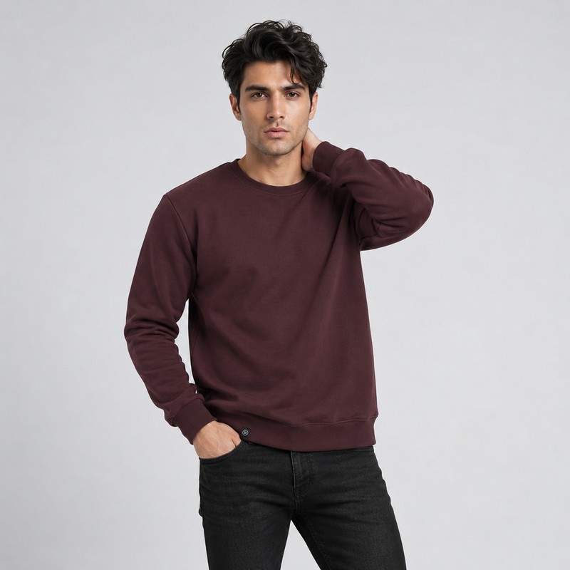 سویشرت مردانه باینت مدل 922-10